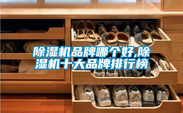 麻豆视频免费看品牌哪個好,麻豆视频免费看十大品牌排行榜
