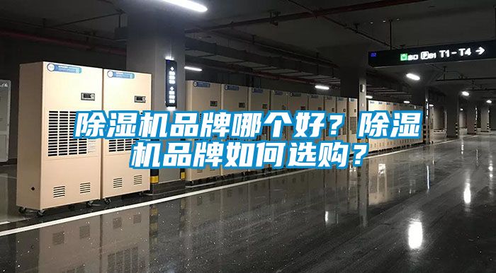 麻豆视频免费看品牌哪個好？麻豆视频免费看品牌如何選購？