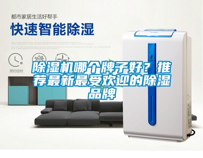 麻豆视频免费看哪個牌子好？推薦最新最受歡迎的除濕品牌