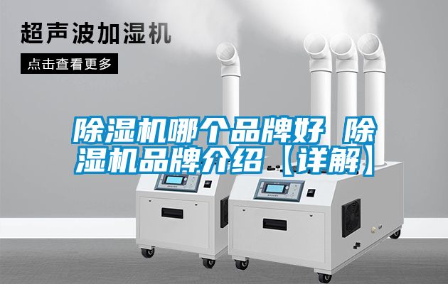 麻豆视频免费看哪個品牌好 麻豆视频免费看品牌介紹【詳解】