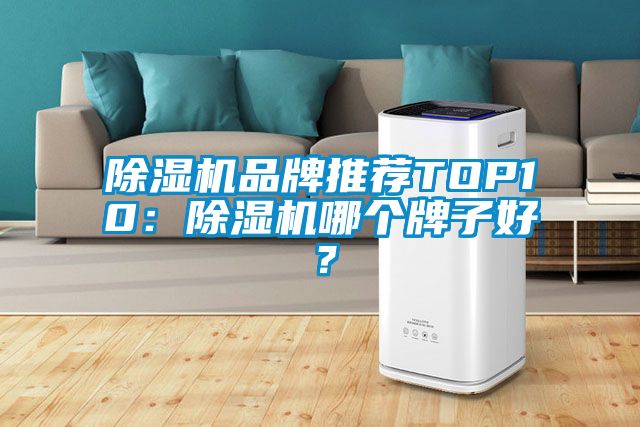 麻豆视频免费看品牌推薦TOP10：麻豆视频免费看哪個牌子好？