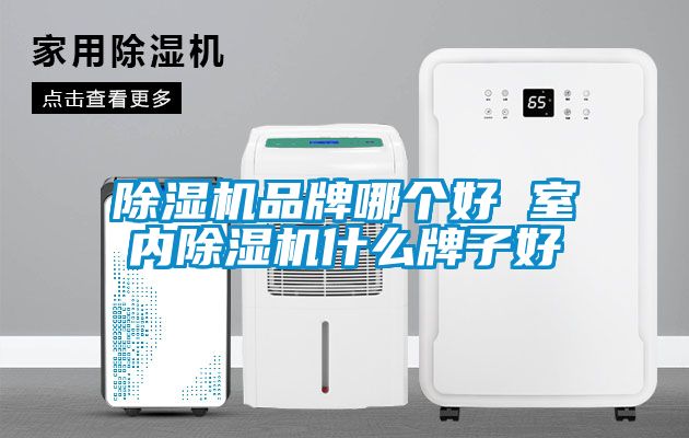 麻豆视频免费看品牌哪個好 室內麻豆视频免费看什麽牌子好