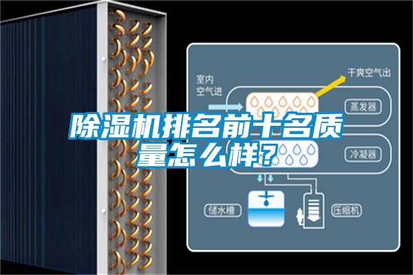 麻豆视频免费看排名前十名質量怎麽樣？