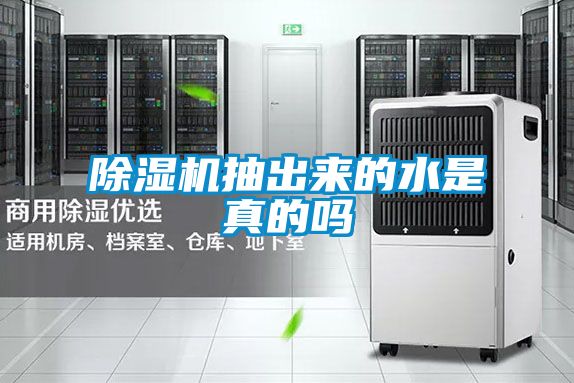 麻豆视频免费看抽出來的水是真的嗎