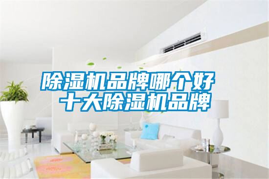 麻豆视频免费看品牌哪個好 十大麻豆视频免费看品牌