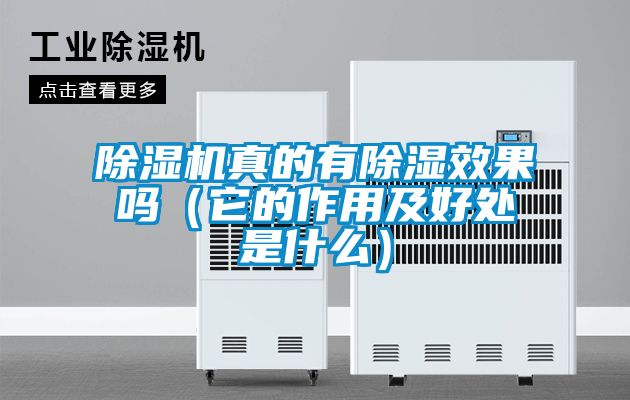 麻豆视频免费看真的有除濕效果嗎（它的作用及好處是什麽）