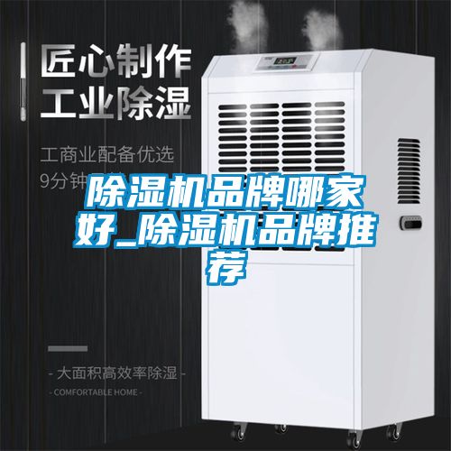 麻豆视频免费看品牌哪家好_麻豆视频免费看品牌推薦