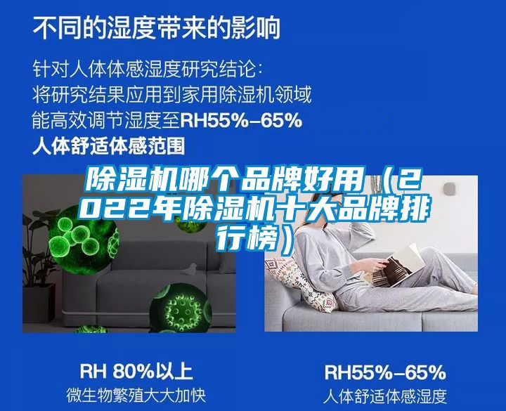 麻豆视频免费看哪個品牌好用（2022年麻豆视频免费看十大品牌排行榜）