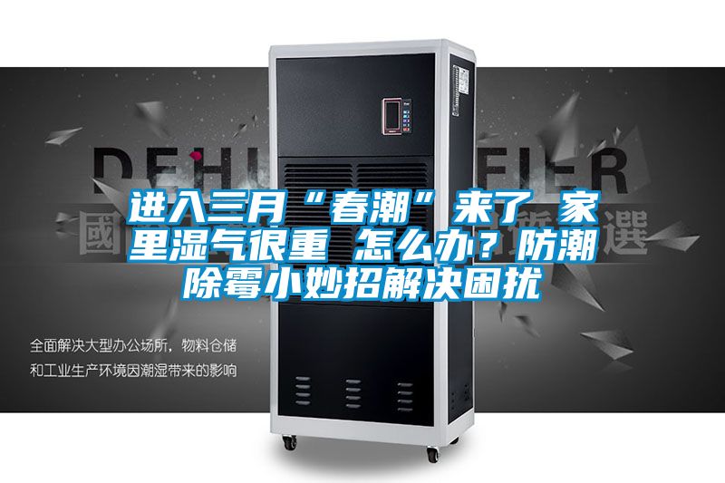 進入三月“春潮”來了 家裏濕氣很重 怎麽辦？防潮除黴小妙招解決困擾