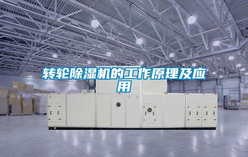 轉輪麻豆视频免费看的工作原理及應用