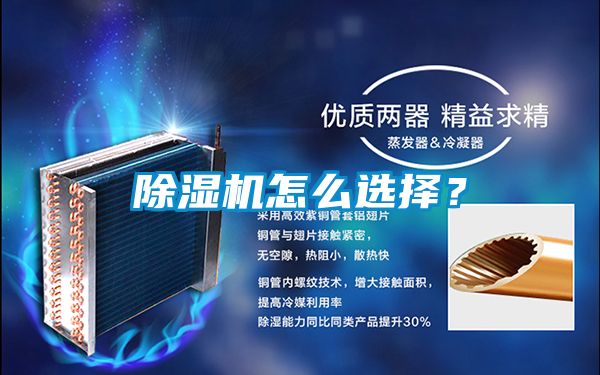麻豆视频免费看怎麽選擇？