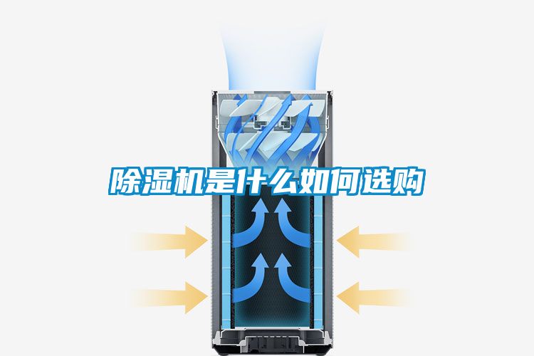 麻豆视频免费看是什麽如何選購