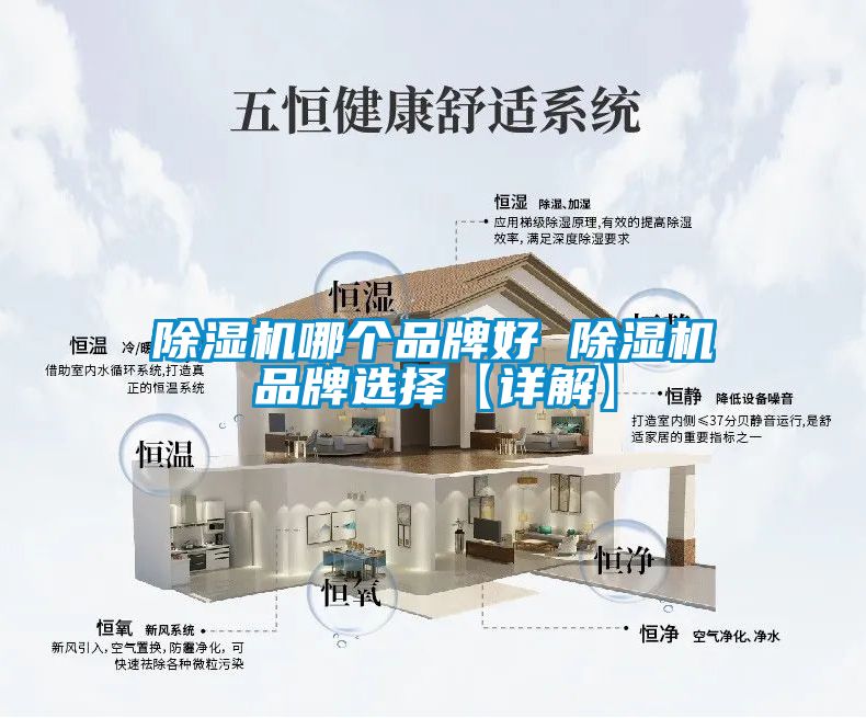 麻豆视频免费看哪個品牌好 麻豆视频免费看品牌選擇【詳解】