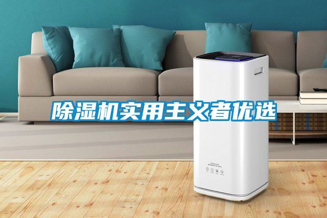 麻豆视频免费看實用主義者優選
