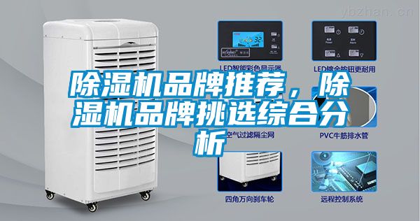 麻豆视频免费看品牌推薦，麻豆视频免费看品牌挑選綜合分析
