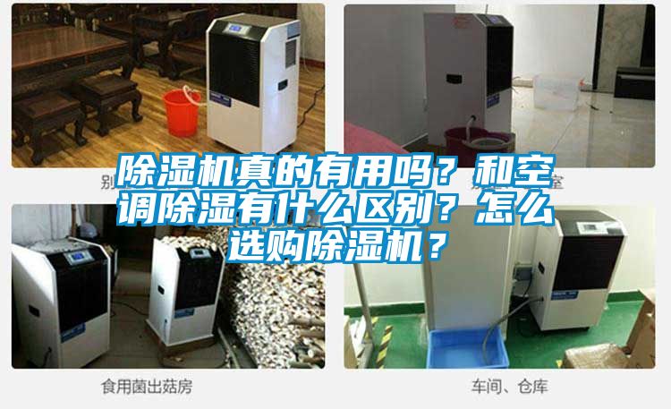 麻豆视频免费看真的有用嗎？和空調除濕有什麽區別？怎麽選購麻豆视频免费看？