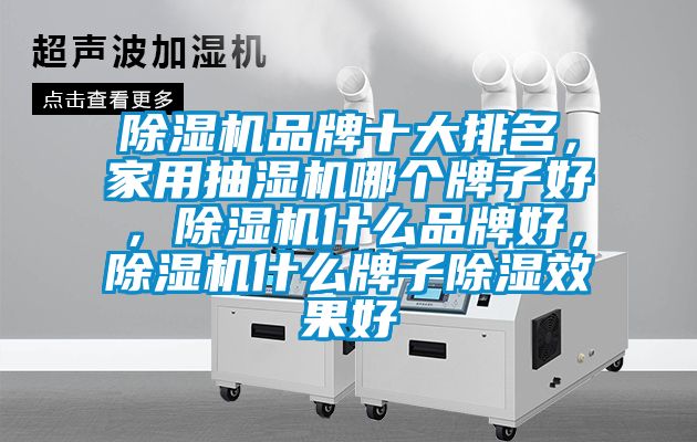 麻豆视频免费看品牌十大排名，家用抽濕機哪個牌子好，麻豆视频免费看什麽品牌好，麻豆视频免费看什麽牌子除濕效果好