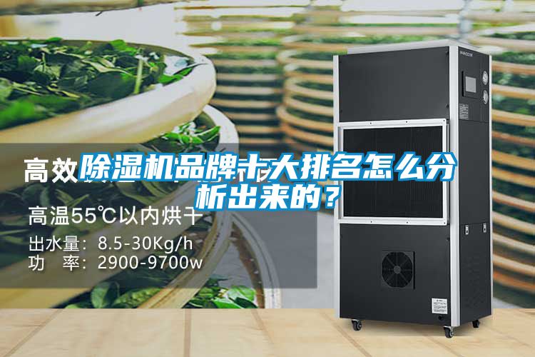 麻豆视频免费看品牌十大排名怎麽分析出來的？