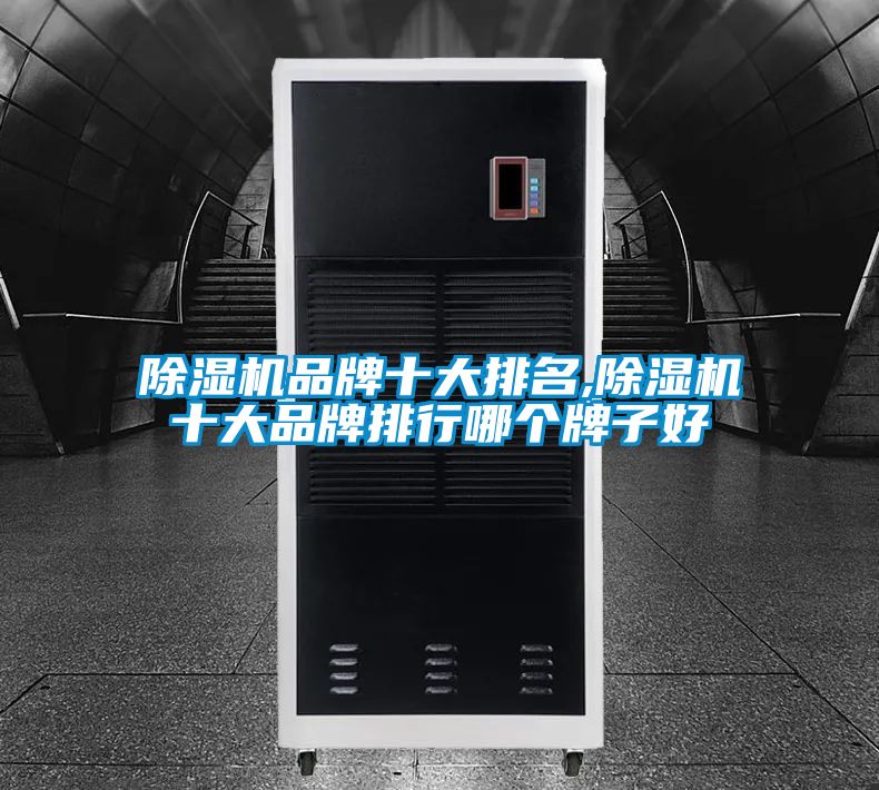 麻豆视频免费看品牌十大排名,麻豆视频免费看十大品牌排行哪個牌子好