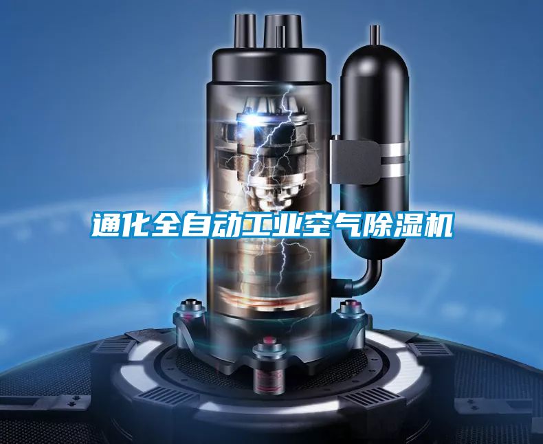 通化全自動工業空氣麻豆视频免费看
