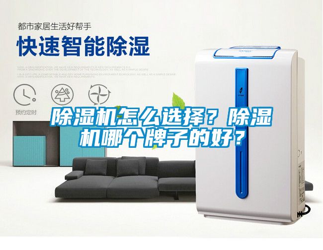 麻豆视频免费看怎麽選擇？麻豆视频免费看哪個牌子的好？
