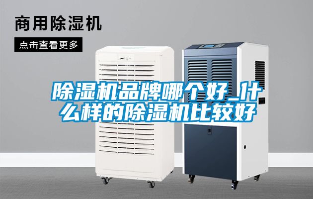 麻豆视频免费看品牌哪個好_什麽樣的麻豆视频免费看比較好