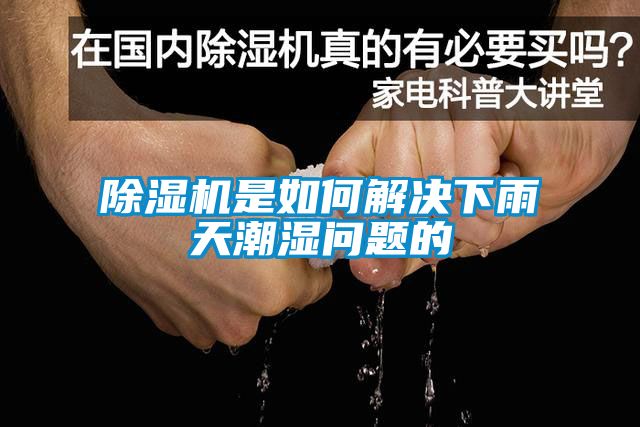 麻豆视频免费看是如何解決下雨天潮濕問題的