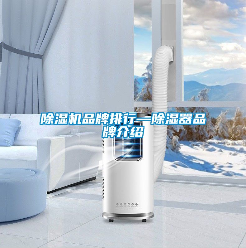 麻豆视频免费看品牌排行—除濕器品牌介紹