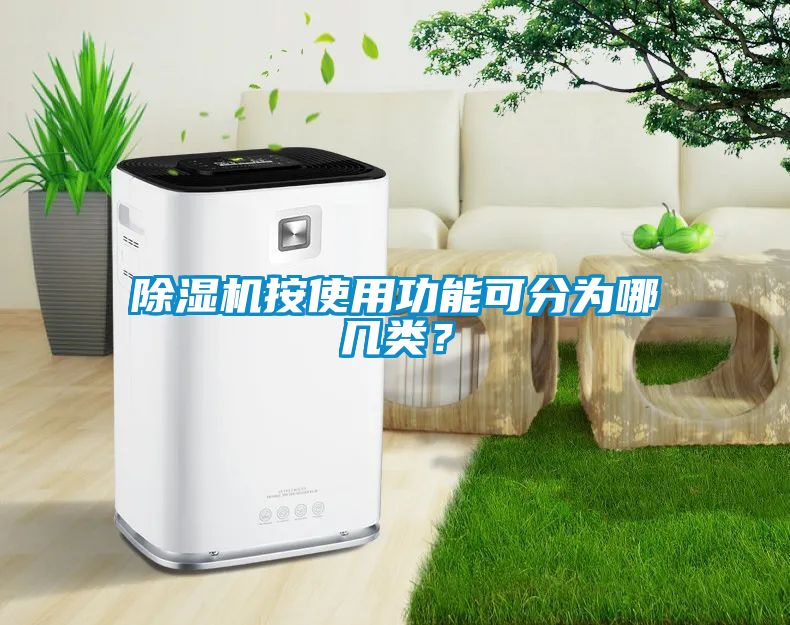 麻豆视频免费看按使用功能可分為哪幾類？