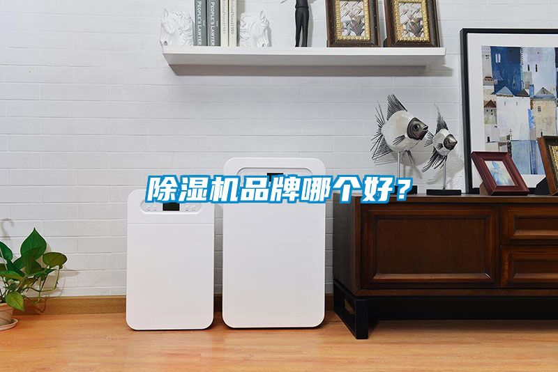 麻豆视频免费看品牌哪個好？