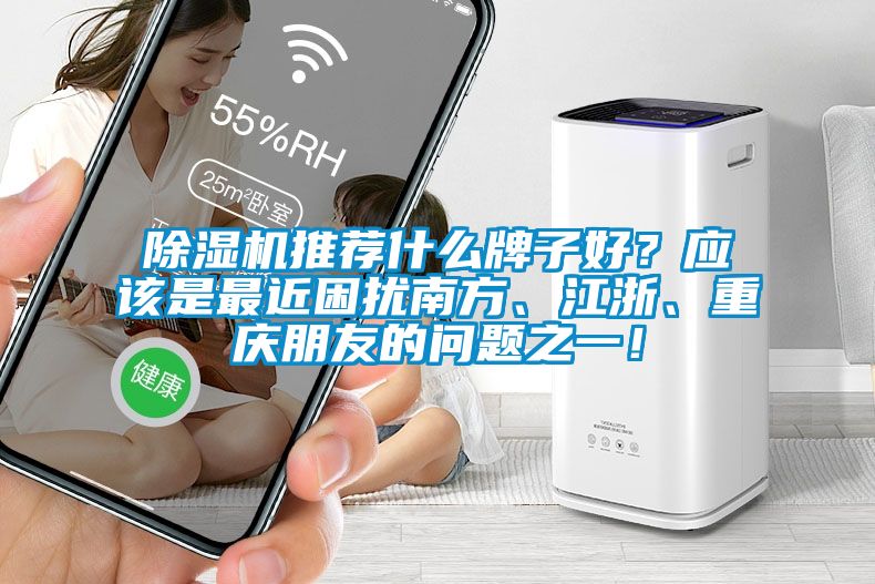 麻豆视频免费看推薦什麽牌子好？應該是最近困擾南方、江浙、重慶朋友的問題之一！