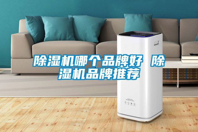麻豆视频免费看哪個品牌好 麻豆视频免费看品牌推薦