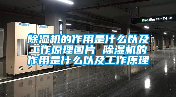 麻豆视频免费看的作用是什麽以及工作原理圖片 麻豆视频免费看的作用是什麽以及工作原理