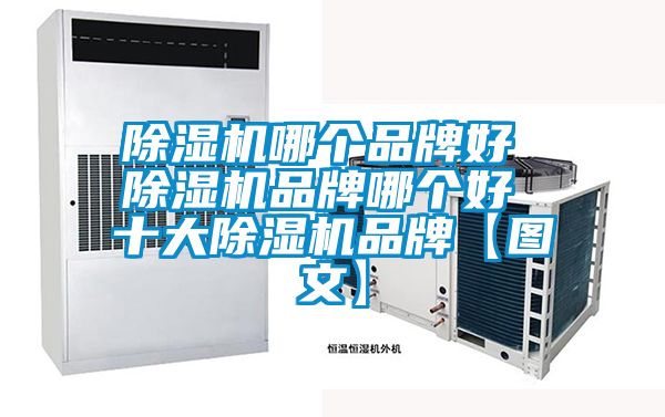 麻豆视频免费看哪個品牌好 麻豆视频免费看品牌哪個好 十大麻豆视频免费看品牌【圖文】