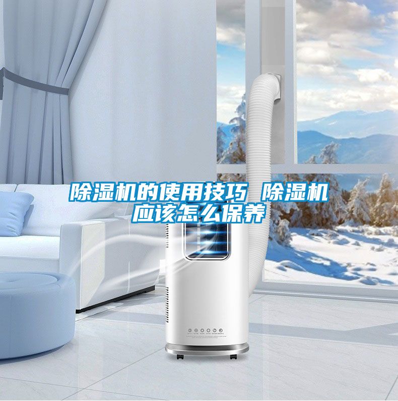 麻豆视频免费看的使用技巧 麻豆视频免费看應該怎麽保養