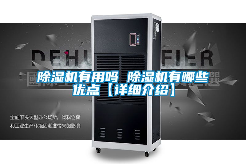 麻豆视频免费看有用嗎 麻豆视频免费看有哪些優點【詳細介紹】