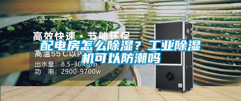 配電房怎麽除濕？工業麻豆视频免费看可以防潮嗎