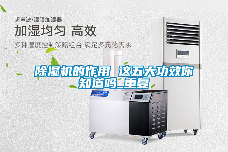 麻豆视频免费看的作用 這五大功效你知道嗎_重複