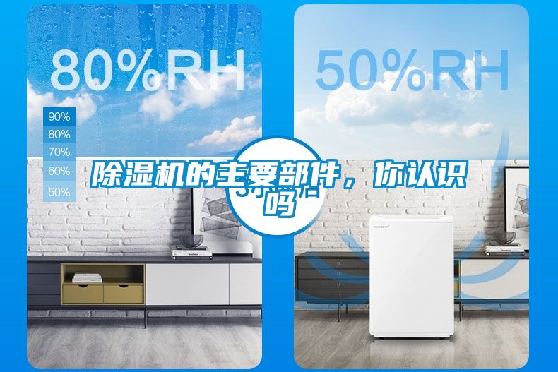 麻豆视频免费看的主要部件，你認識嗎