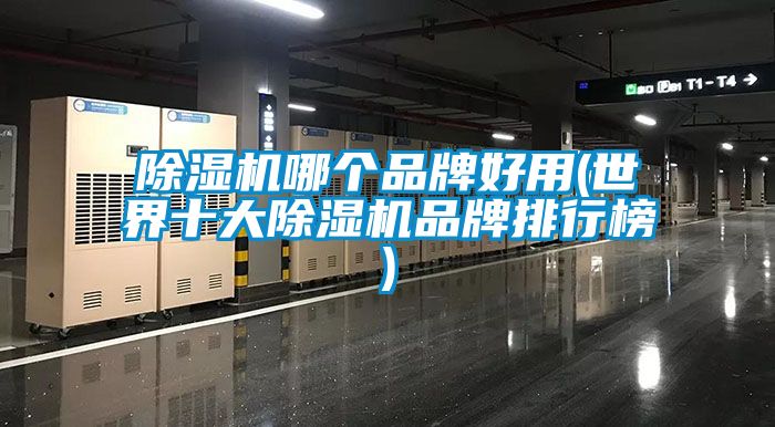 麻豆视频免费看哪個品牌好用(世界十大麻豆视频免费看品牌排行榜)