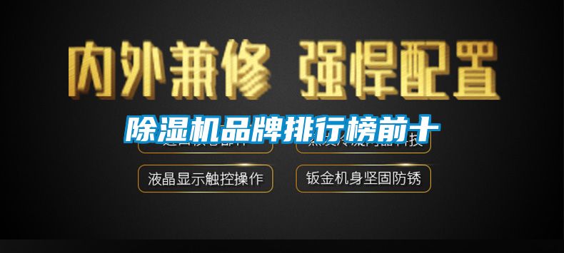 麻豆视频免费看品牌排行榜前十