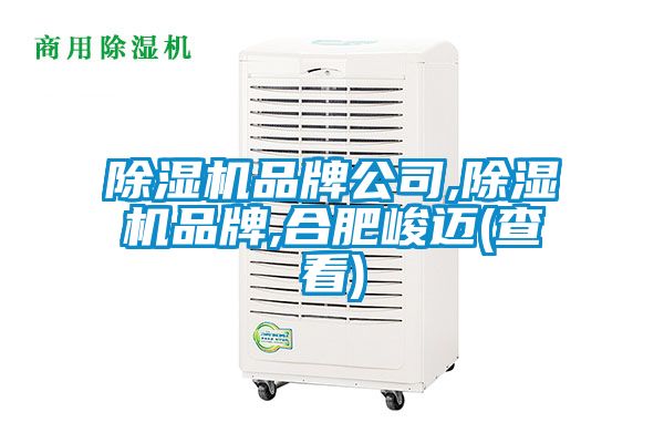 麻豆视频免费看品牌公司,麻豆视频免费看品牌,合肥峻邁(查看)