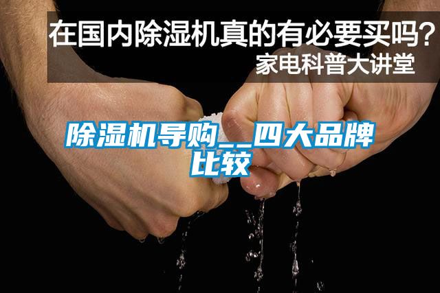 麻豆视频免费看導購__四大品牌比較
