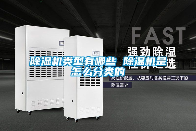 麻豆视频免费看類型有哪些 麻豆视频免费看是怎麽分類的