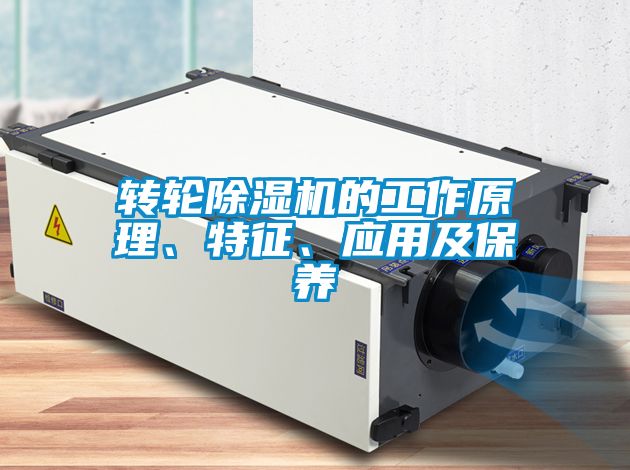 轉輪麻豆视频免费看的工作原理、特征、應用及保養