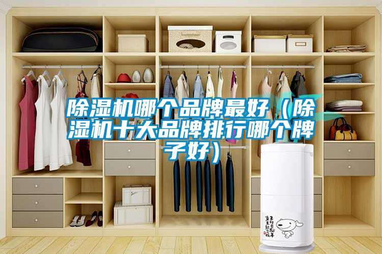 麻豆视频免费看哪個品牌最好（麻豆视频免费看十大品牌排行哪個牌子好）