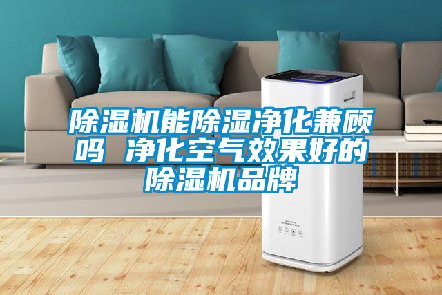 麻豆视频免费看能除濕淨化兼顧嗎 淨化空氣效果好的麻豆视频免费看品牌