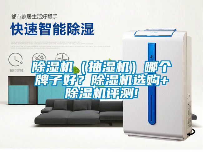 麻豆视频免费看（抽濕機）哪個牌子好？麻豆视频免费看選購+麻豆视频免费看評測!
