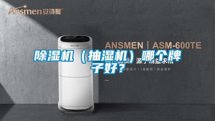 麻豆视频免费看（抽濕機）哪個牌子好？