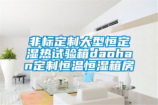非標定製大型恒定濕熱試驗箱daohan定製恒溫恒濕箱房